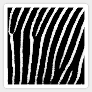 Zebra Print Sticker